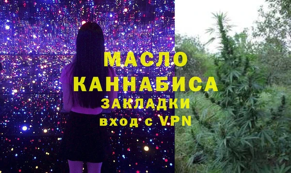 крисы Богородицк