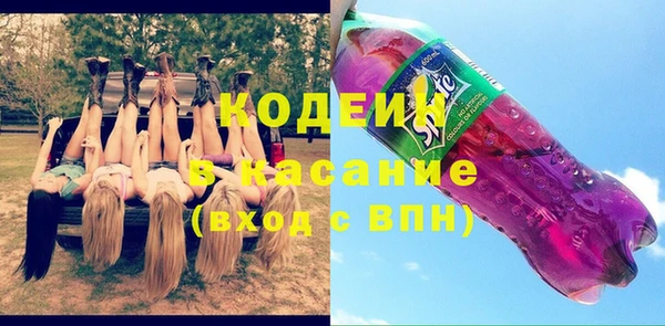 крисы Богородицк