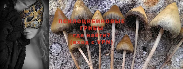 МДМА Белокуриха