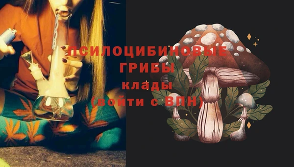 крисы Богородицк