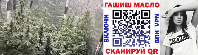 ТГК THC oil  наркошоп  Борзя 